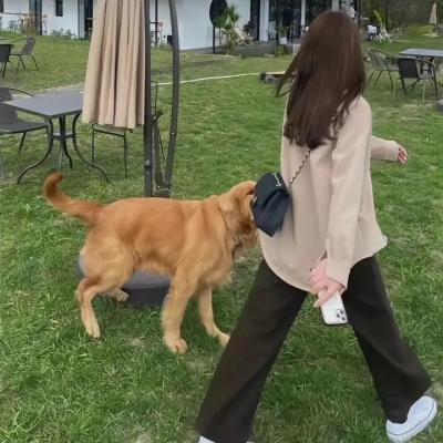 风尘知己